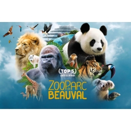 Week-end Zoo de Beauval Juillet