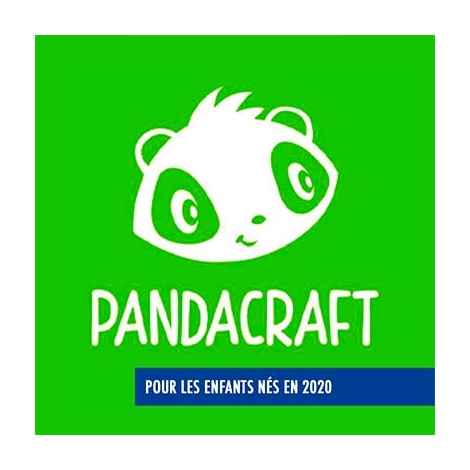 2025-09-30 -   Kit Pandacraft -  5 ANS