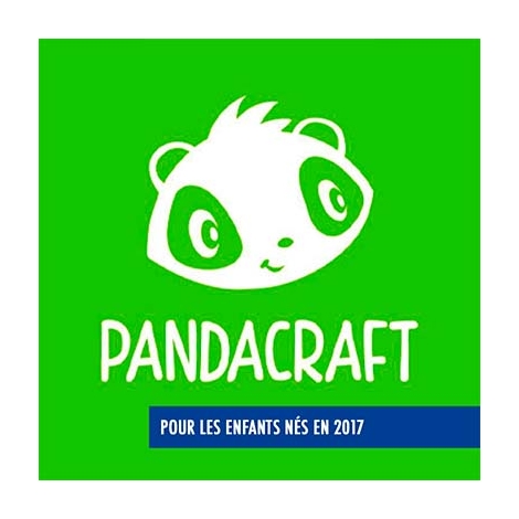 2025-09-30 - Kit Pandacraft -  8 ANS