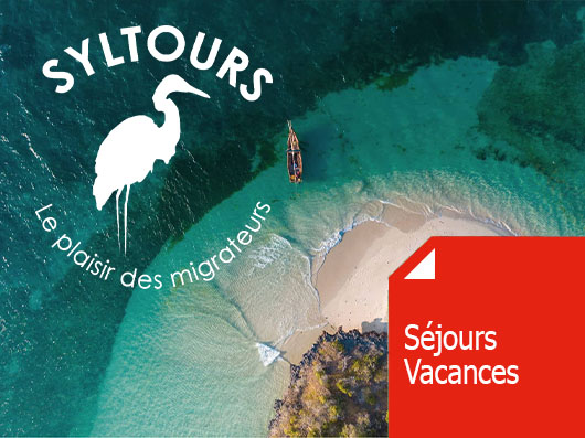 icone - Syltours.jpg